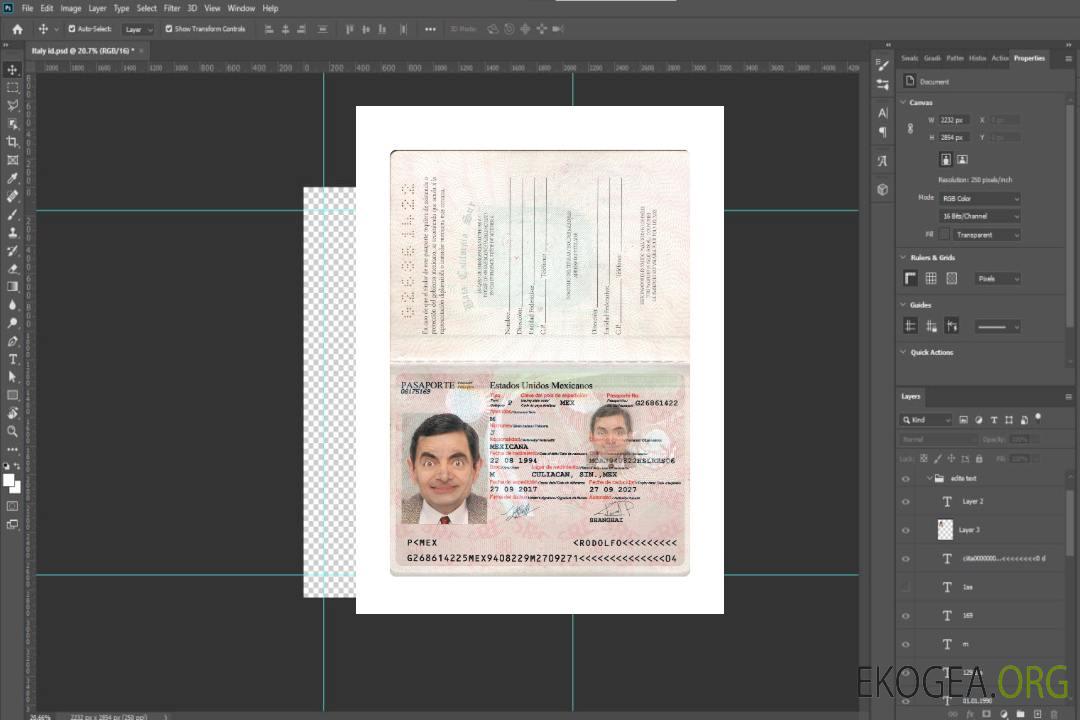 Passeport mexicain 2017-présent template